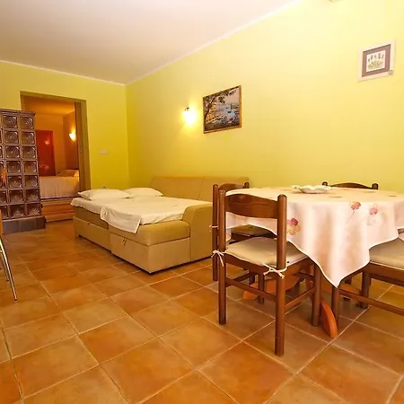 Puzar 389 *